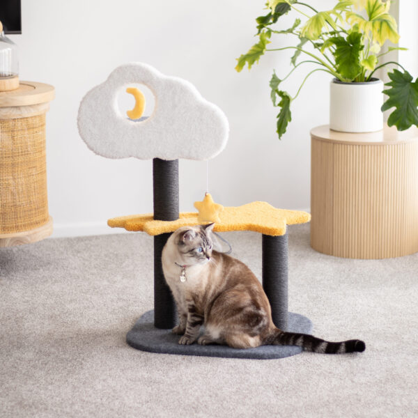 1928 550758 Celestial cat tower-056